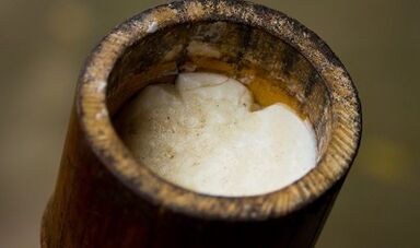 ulei de arbore de ceai pentru tratarea negilor