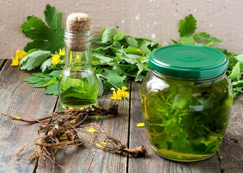 Infuzie de celandină pentru combaterea papiloamelor